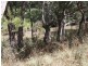 1281 Gulf Road, Emmaville NSW 2371