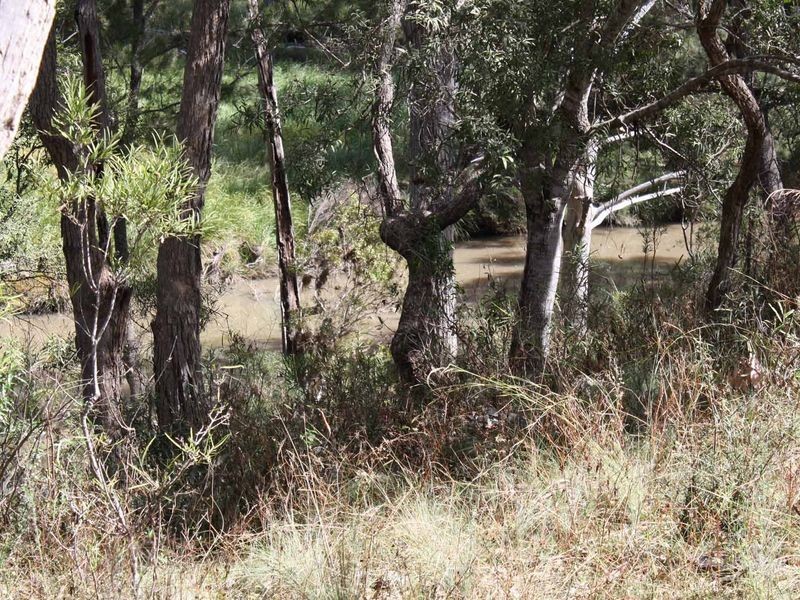 1281 Gulf Road, Emmaville NSW 2371