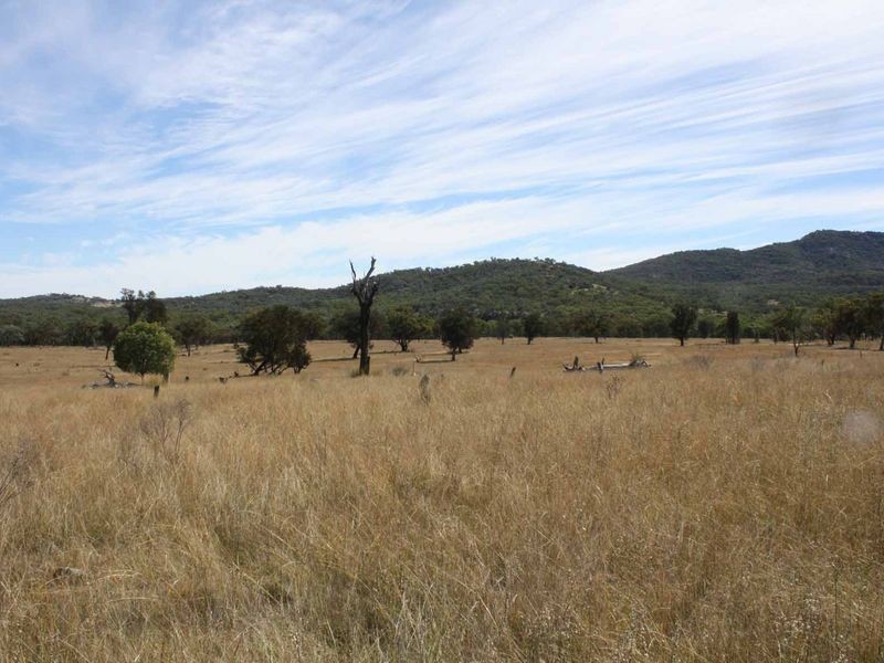 1281 Gulf Road, Emmaville NSW 2371