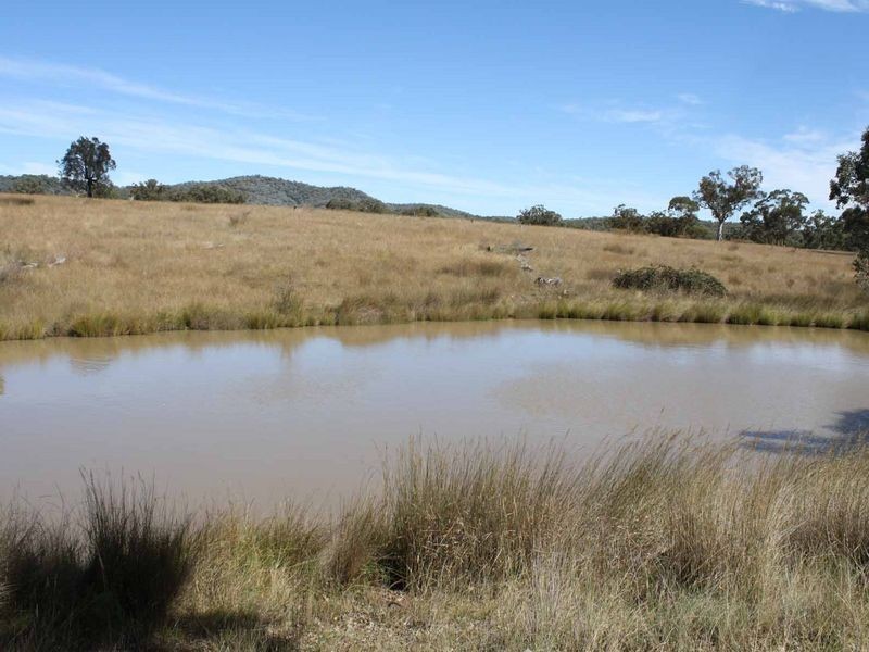 1281 Gulf Road, Emmaville NSW 2371