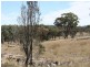 1281 Gulf Road, Emmaville NSW 2371