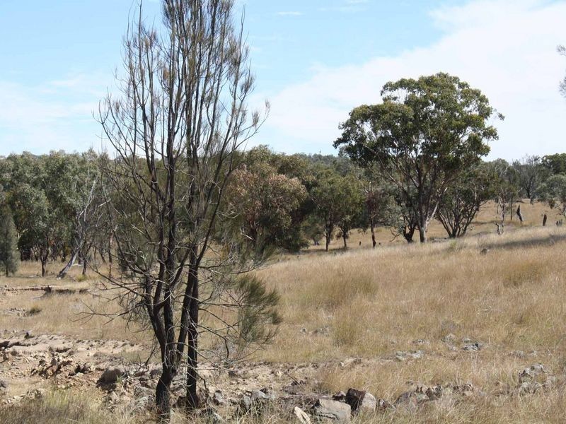 1281 Gulf Road, Emmaville NSW 2371