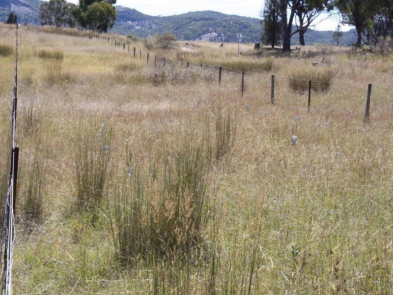 1281 Gulf Road, Emmaville NSW 2371