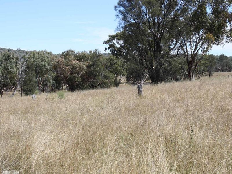 1281 Gulf Road, Emmaville NSW 2371