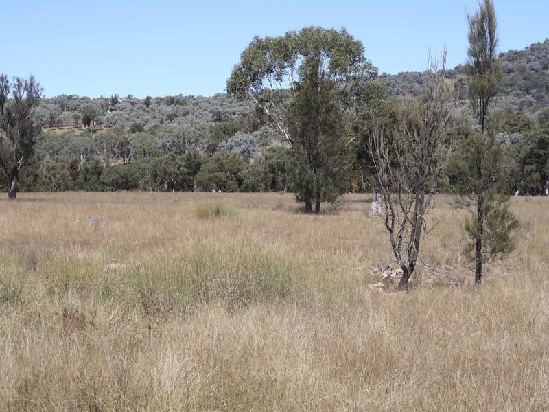 1281 Gulf Road, Emmaville NSW 2371