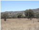 1281 Gulf Road, Emmaville NSW 2371