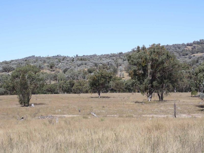 1281 Gulf Road, Emmaville NSW 2371