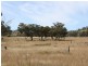 1281 Gulf Road, Emmaville NSW 2371