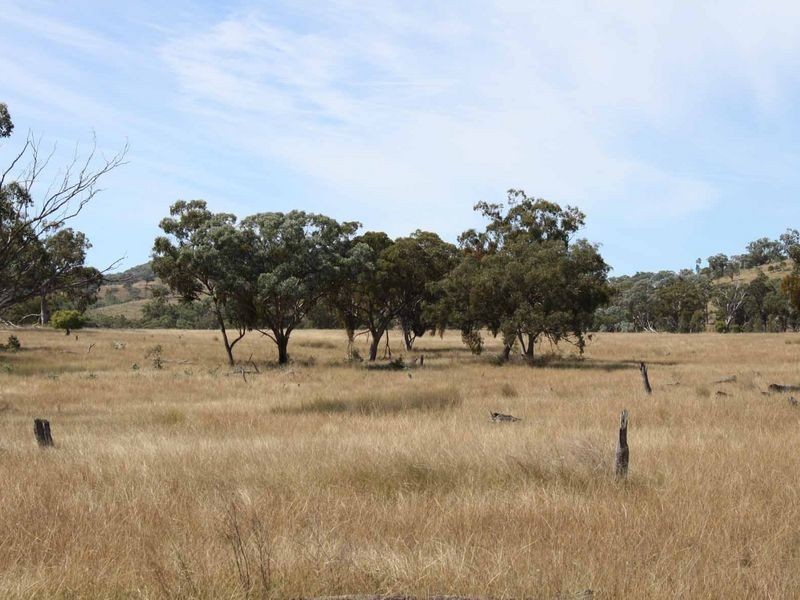 1281 Gulf Road, Emmaville NSW 2371