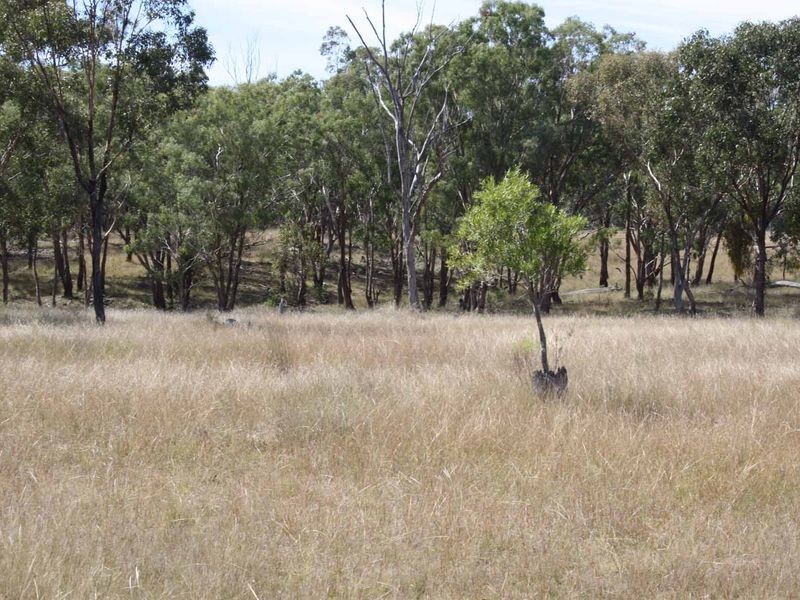 1281 Gulf Road, Emmaville NSW 2371