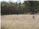 1281 Gulf Road, Emmaville NSW 2371