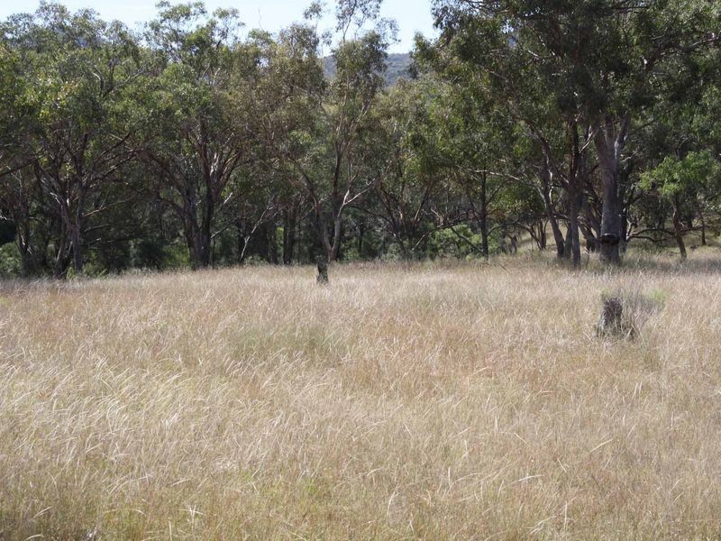1281 Gulf Road, Emmaville NSW 2371