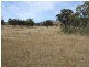 1281 Gulf Road, Emmaville NSW 2371