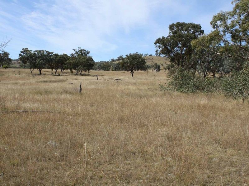 1281 Gulf Road, Emmaville NSW 2371