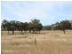 1281 Gulf Road, Emmaville NSW 2371