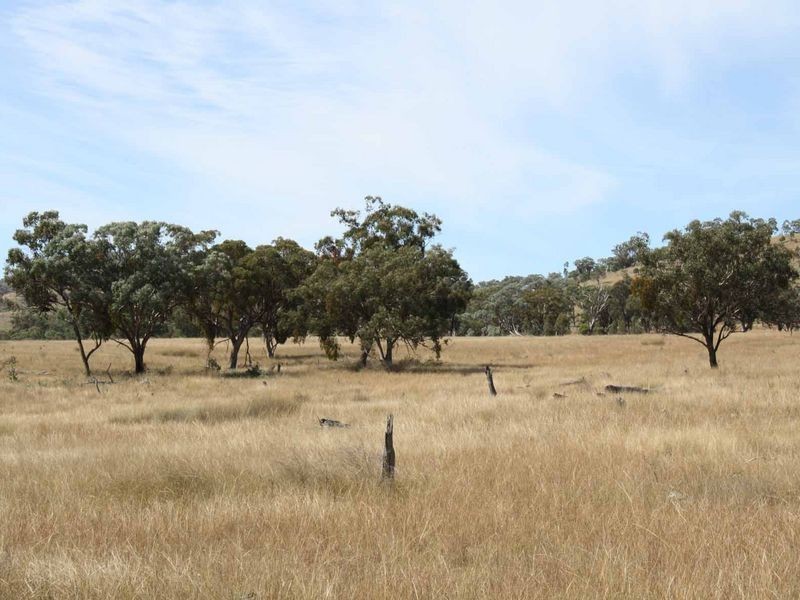 1281 Gulf Road, Emmaville NSW 2371