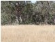 1281 Gulf Road, Emmaville NSW 2371