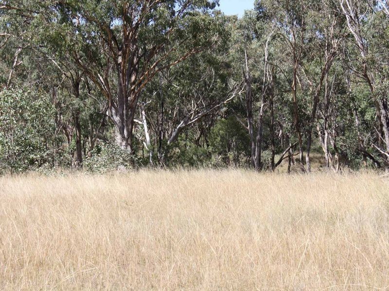 1281 Gulf Road, Emmaville NSW 2371
