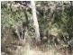 1281 Gulf Road, Emmaville NSW 2371