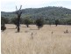 1281 Gulf Road, Emmaville NSW 2371