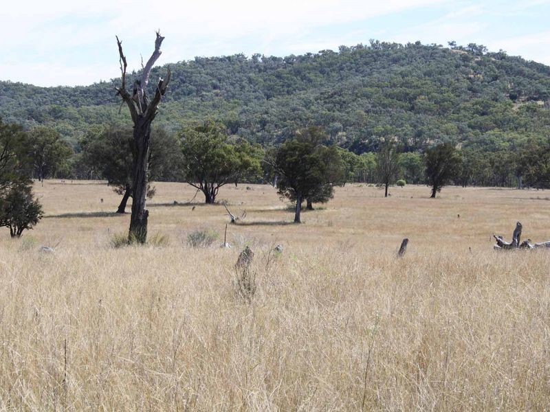 1281 Gulf Road, Emmaville NSW 2371