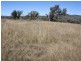 1281 Gulf Road, Emmaville NSW 2371