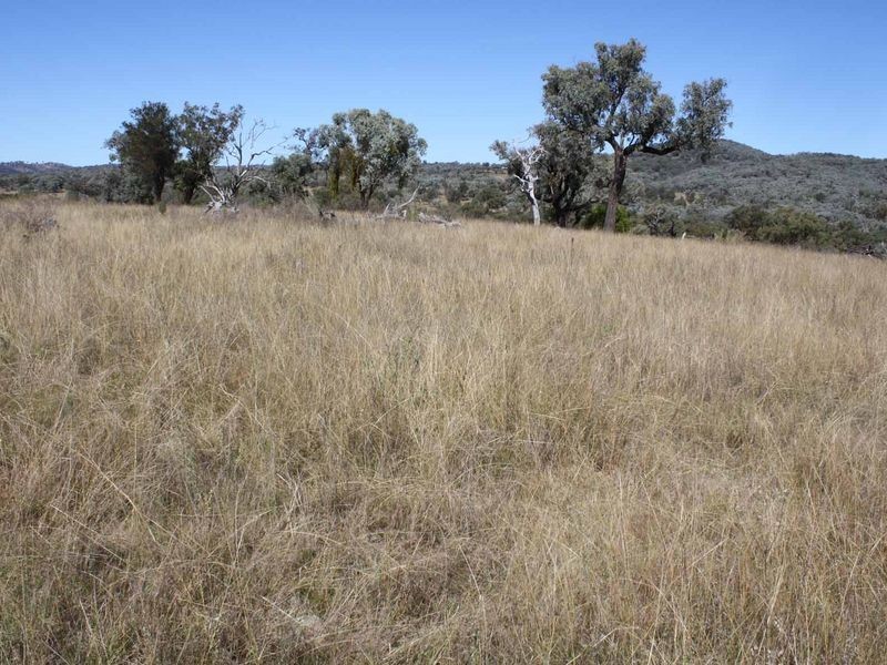 1281 Gulf Road, Emmaville NSW 2371