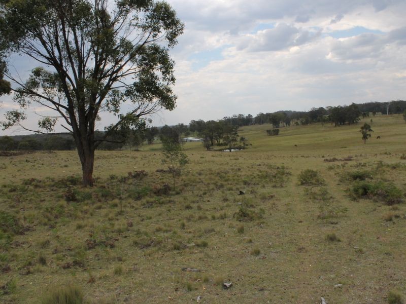 470 Silent Grove Road, Torrington NSW 2371