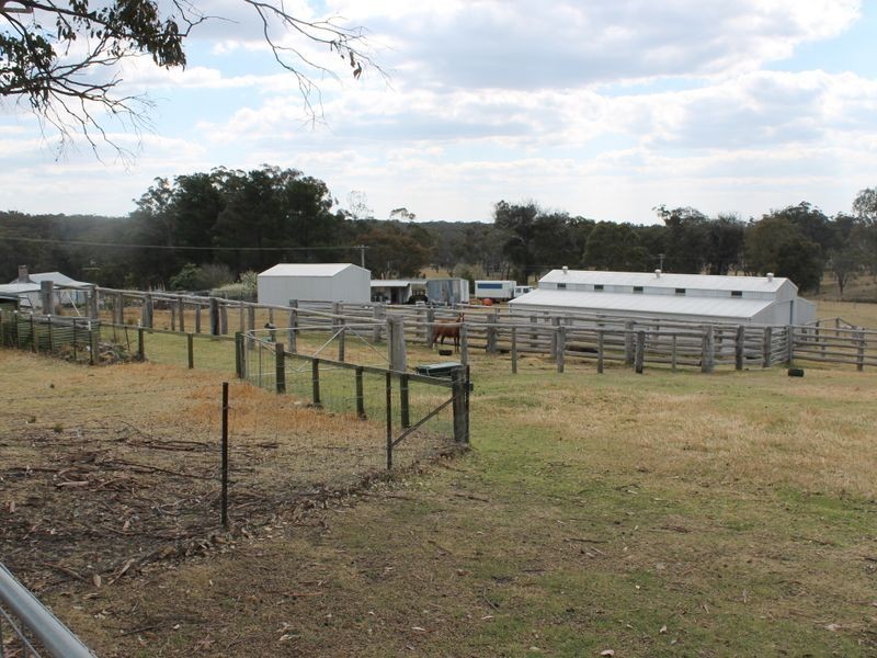 470 Silent Grove Road, Torrington NSW 2371