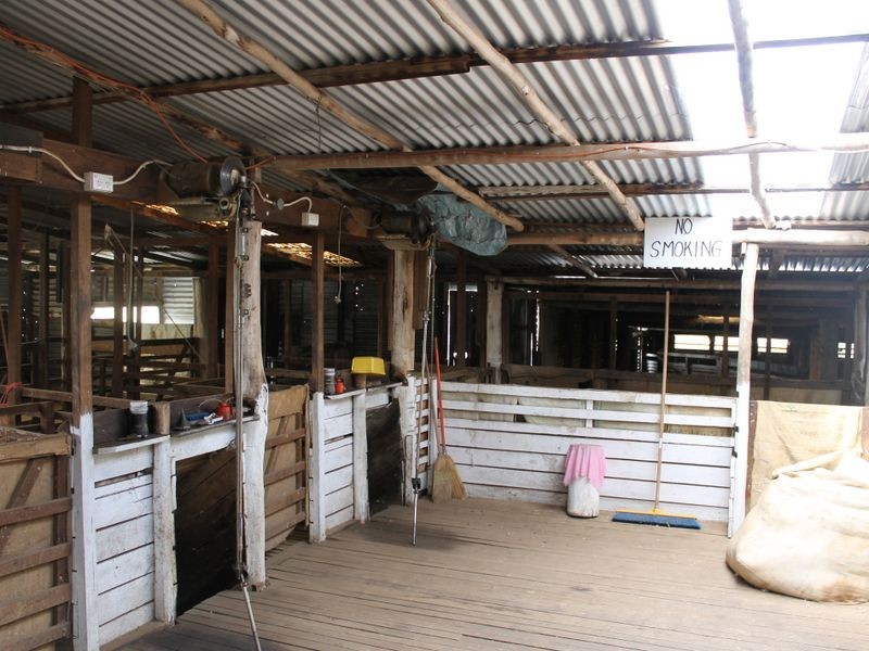 470 Silent Grove Road, Torrington NSW 2371