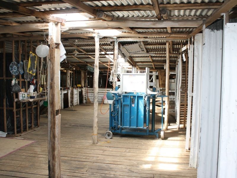 470 Silent Grove Road, Torrington NSW 2371