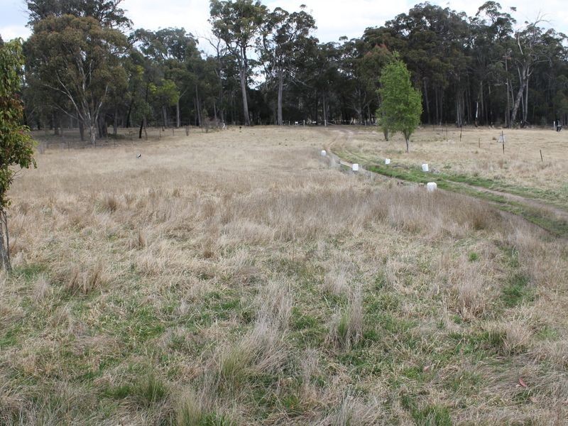 470 Silent Grove Road, Torrington NSW 2371