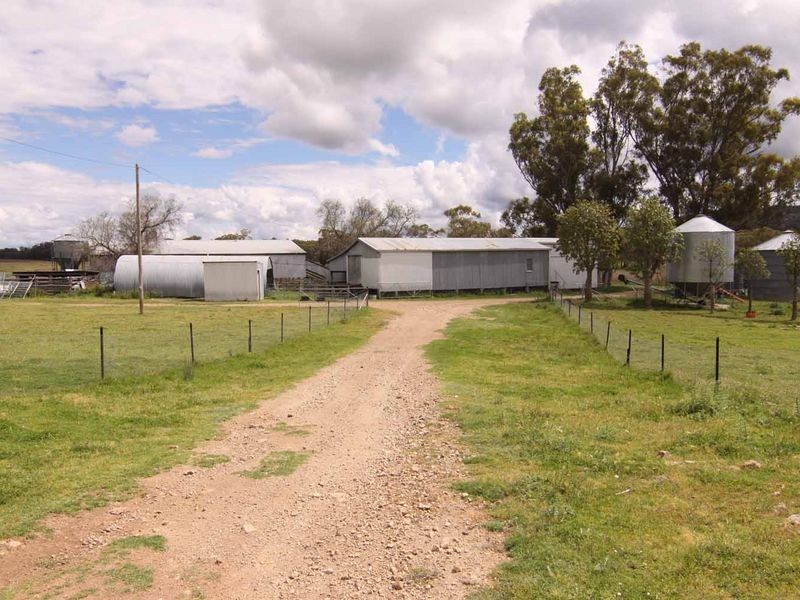 1606 Rocky Creek Road, Emmaville NSW 2371