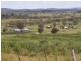 1606 Rocky Creek Road, Emmaville NSW 2371