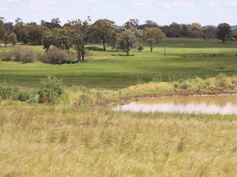 1606 Rocky Creek Road, Emmaville NSW 2371