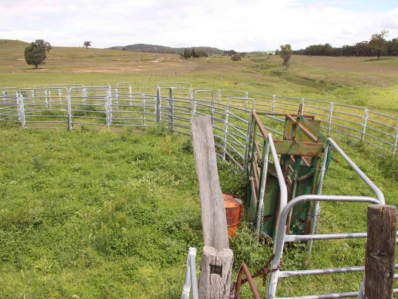 1606 Rocky Creek Road, Emmaville NSW 2371