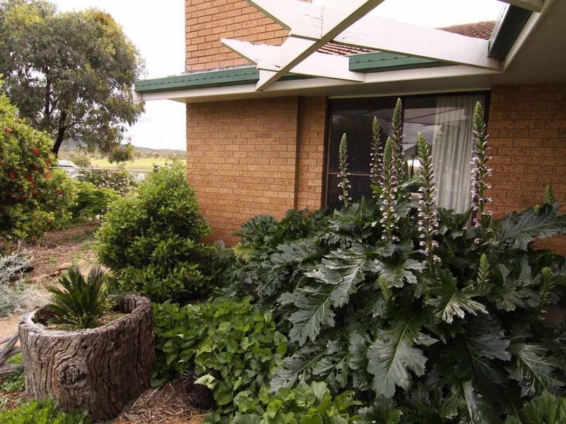 1606 Rocky Creek Road, Emmaville NSW 2371