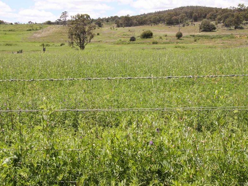 1606 Rocky Creek Road, Emmaville NSW 2371