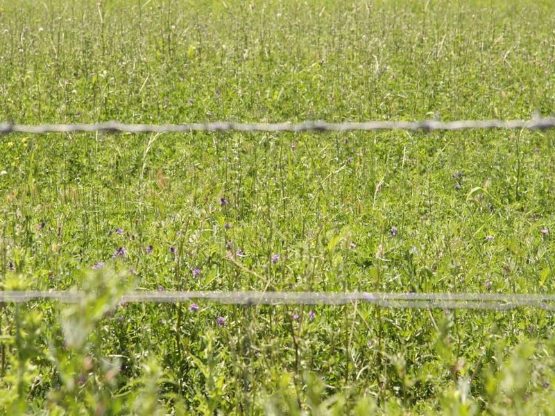 1606 Rocky Creek Road, Emmaville NSW 2371