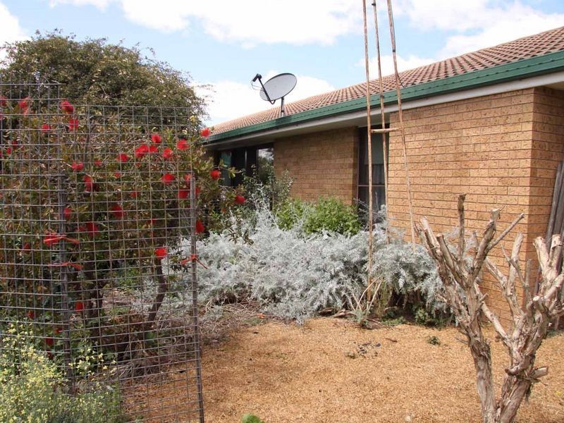 1606 Rocky Creek Road, Emmaville NSW 2371