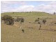 1606 Rocky Creek Road, Emmaville NSW 2371