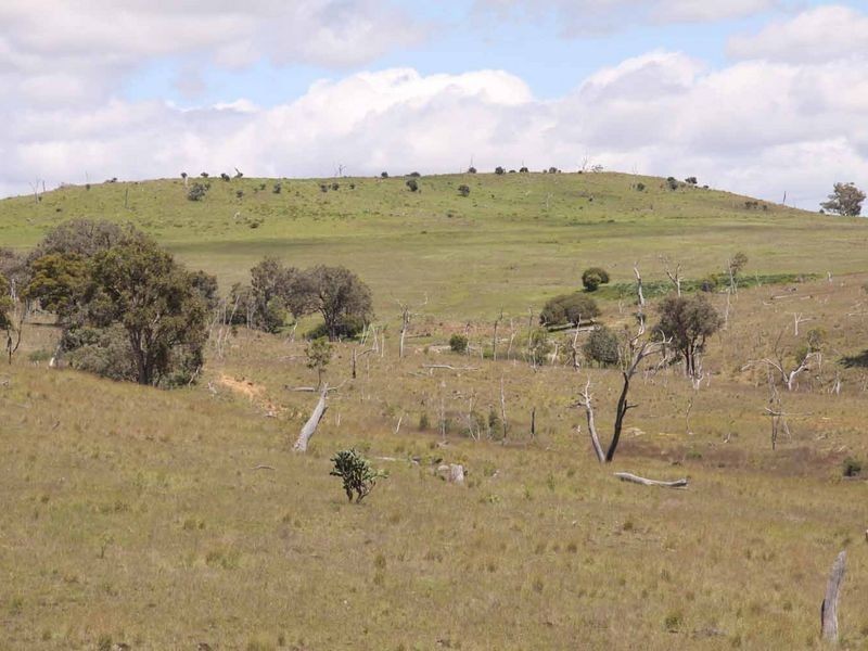 1606 Rocky Creek Road, Emmaville NSW 2371