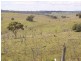 1606 Rocky Creek Road, Emmaville NSW 2371