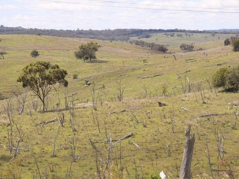 1606 Rocky Creek Road, Emmaville NSW 2371