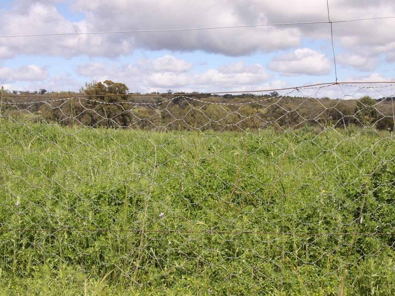 1606 Rocky Creek Road, Emmaville NSW 2371