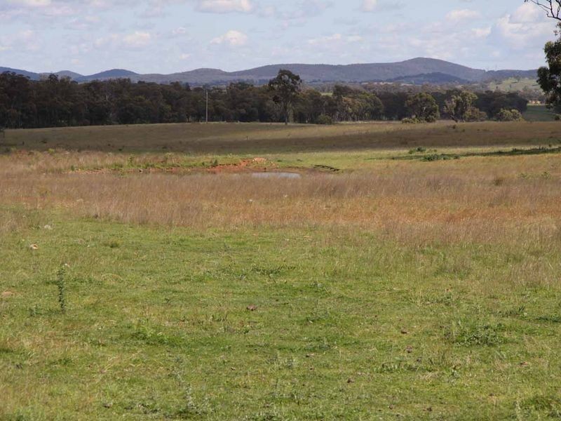 1606 Rocky Creek Road, Emmaville NSW 2371