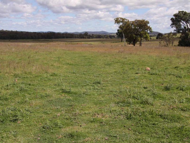 1606 Rocky Creek Road, Emmaville NSW 2371