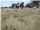 4/753308 Deloraine Road, Emmaville NSW 2371
