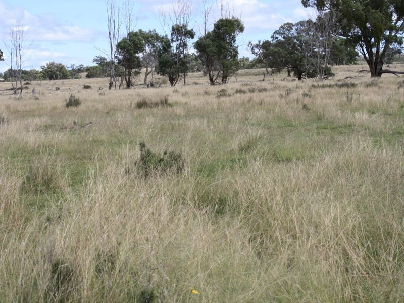 4/753308 Deloraine Road, Emmaville NSW 2371