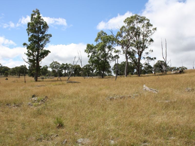 4/753308 Deloraine Road, Emmaville NSW 2371